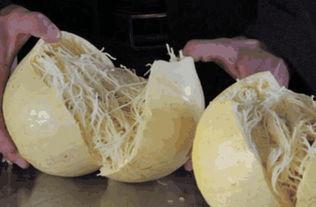 白丝吃瓜网,揭秘娱乐圈幕后故事，带你领略明星真实生活